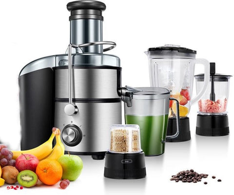 Royalty Line Extracteur de Jus 4 en 1 - Blender / Hachoir / Moulin à Café - Extracteur de Fruits et Légumes - Extracteur de Jus avec Tasse à Jus de 1 Litre et Réservoir de Pulpe de 2 Litres - Power Juicer à 3 Vitesses - 1000W - Multi Juicer - Argent